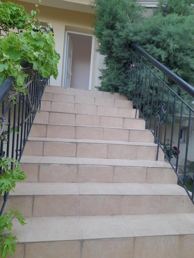 Vila Leopard Aparthotel Stavros  Exterior foto